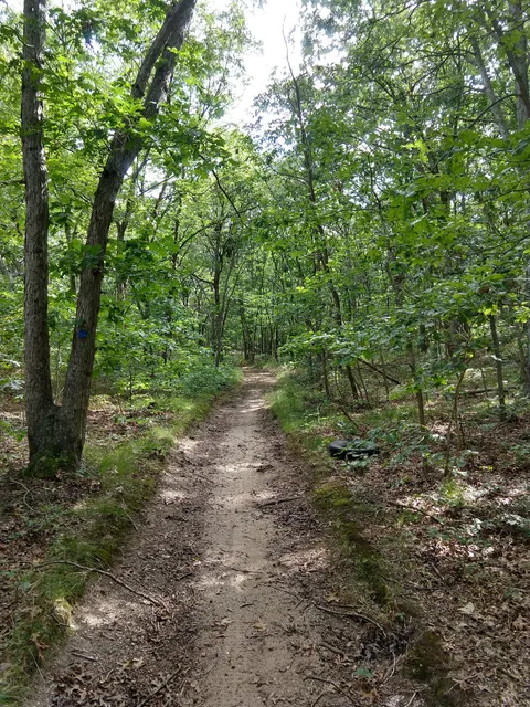 Kings Park Unique Area