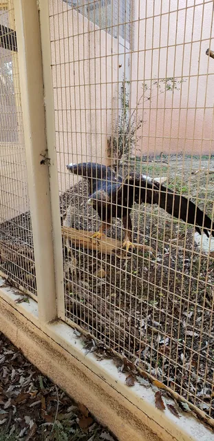 Carlsbad Horitculture Society