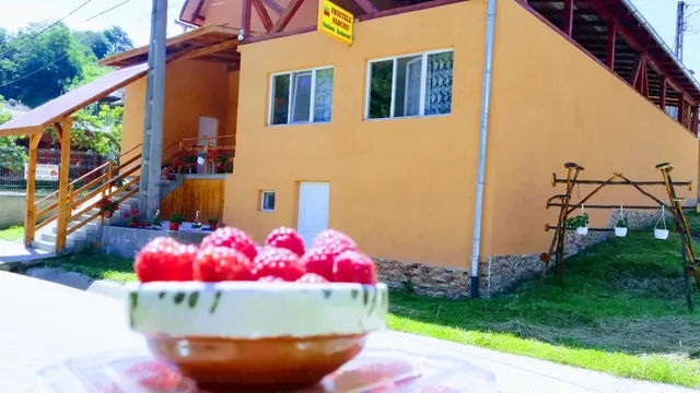 Pensiunea Restaurant Fructele Padurii