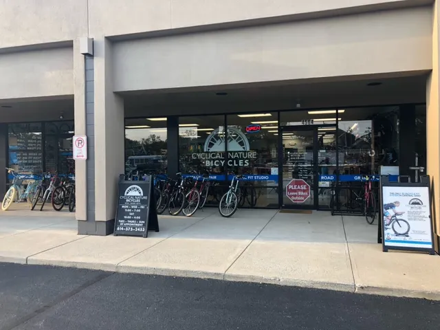 Cyclical Nature Bicycles