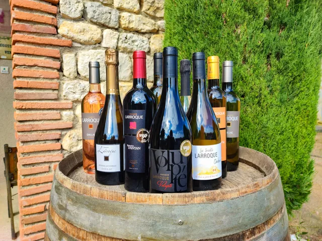 DOMAINE DE LARROQUE - SCEA P.NOUVEL