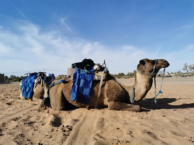 caïdat d'Aoufous قيادة أوفوس