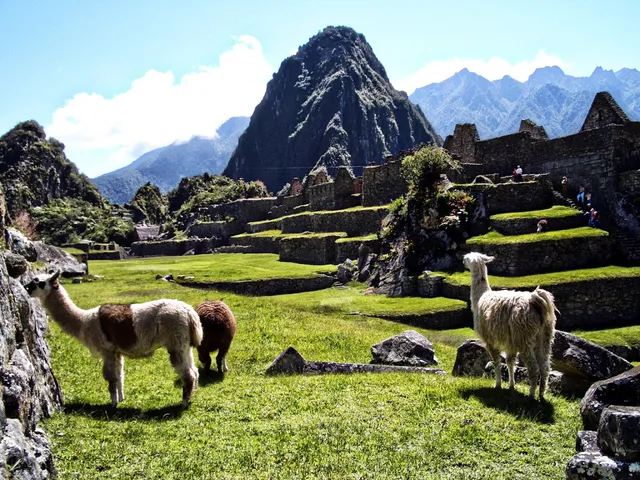 Oh Machu Picchu, Agencia de Viajes y Turismo
