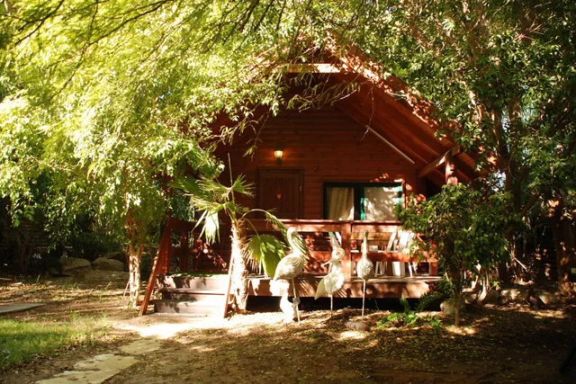 אואזיס גדיש