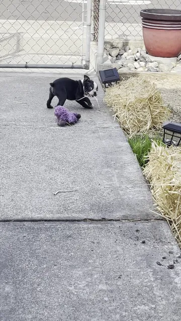 Ashland Community Center Park