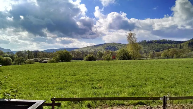 Ferienwohnungen Harzblick