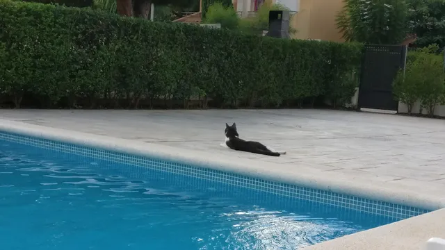 Apartamento Miami Playa 2015