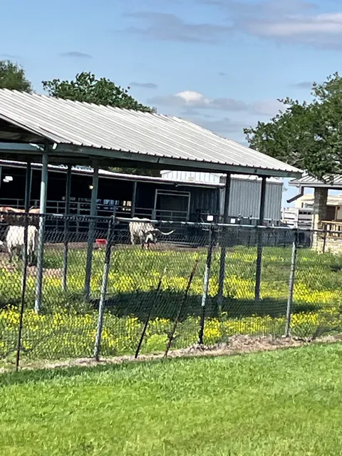 The Longhorn Project at Johnson Space Center