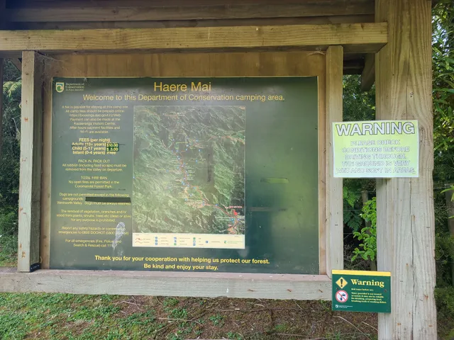 Shag Stream Campsite