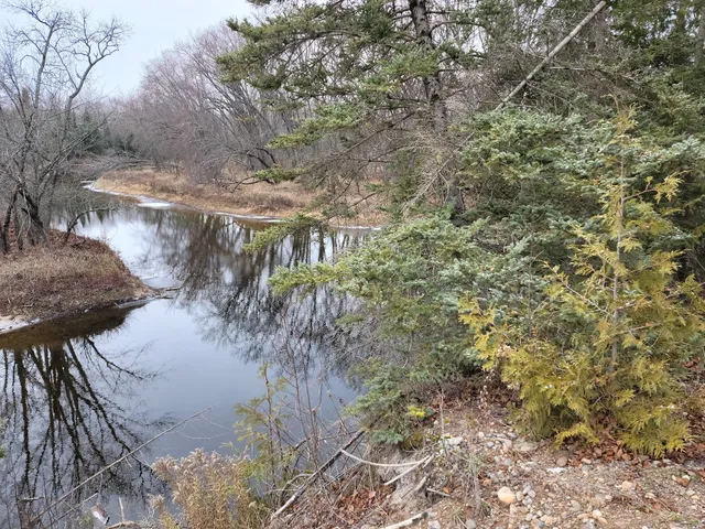 Escanaba River State Forest