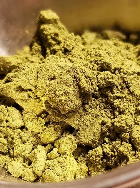 Leaf of Life Botanicals