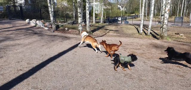 Botby gårds hundpark