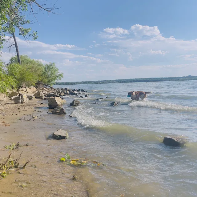 Cherry Creek Reservoir