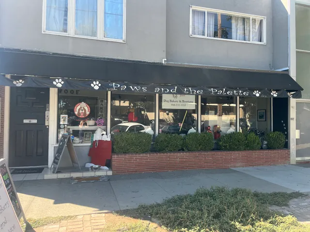 Paws and the Palette