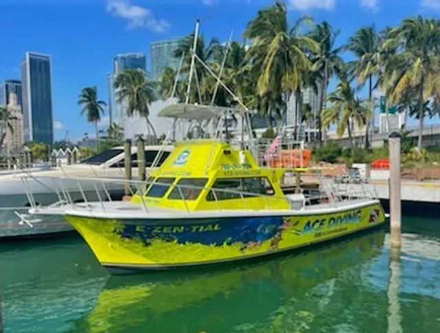 Ace Diving Miami