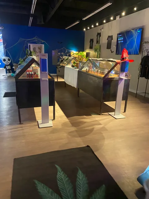 PurLife Dispensary Bernalillo