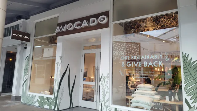 Avocado Green Mattress - Natural & Organic Mattresses - Corte Madera