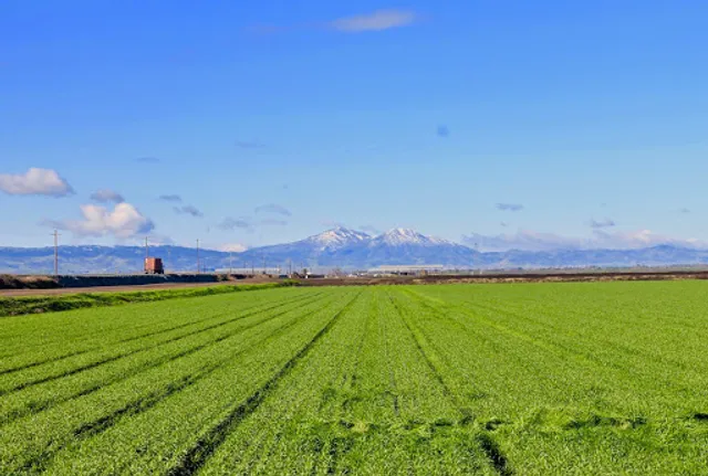 Victoria Island Farms