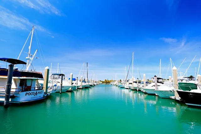 Crandon Park Marina