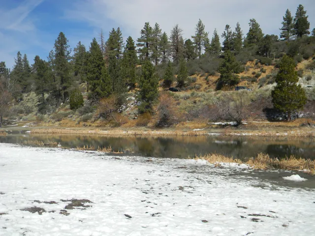Jackson Lake Picnic Site