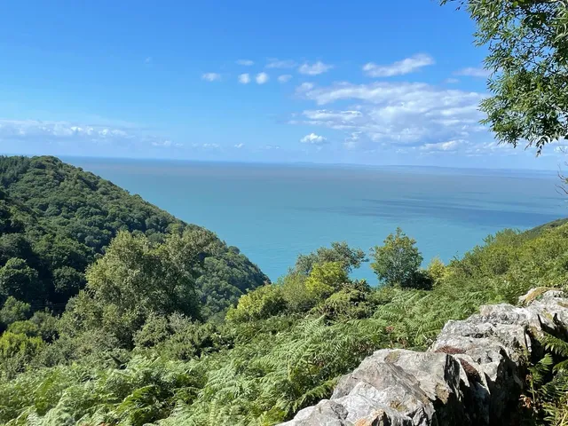 Moor and Sea Holidays