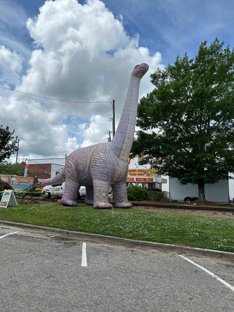 Carolina Strawberry Festival