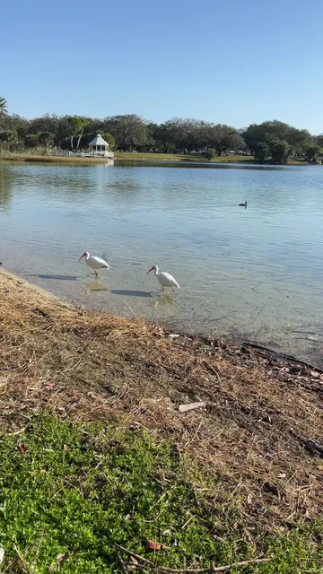 Camelot Days Medieval Festival