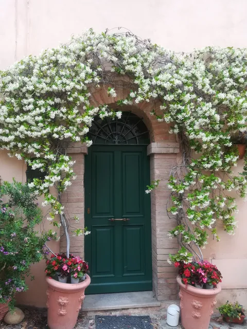 B&B Notti sulle Mura