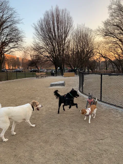 Bronx River Park Dog Run