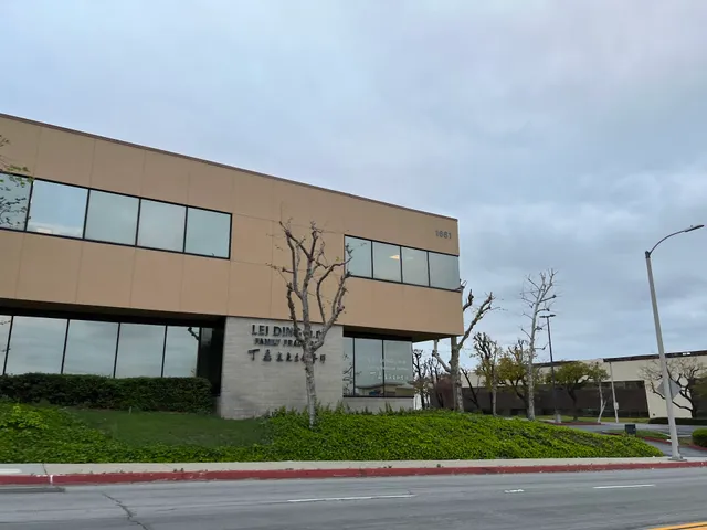 Ding Lei A Pro Med Corporation