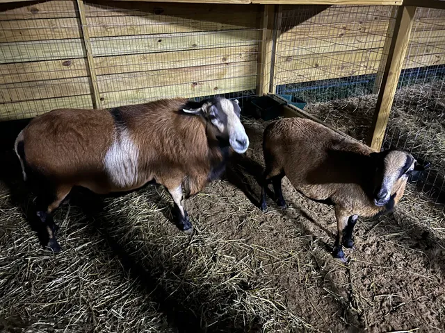 Michigan's Haunted Musical