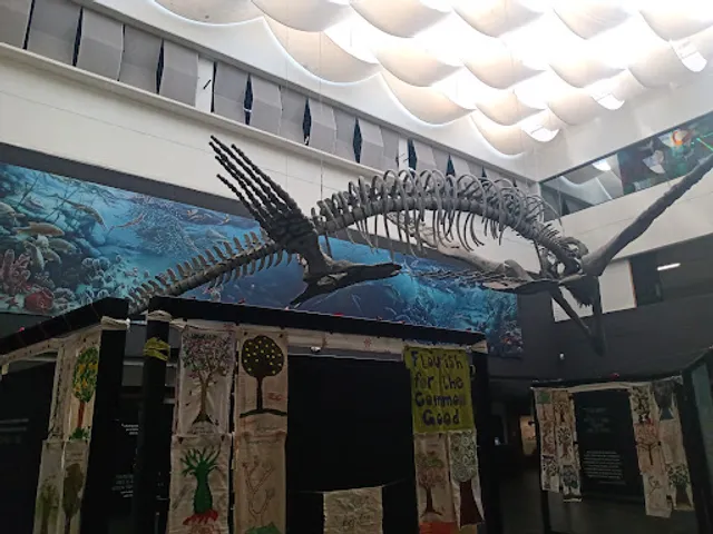 Cafetería Universum