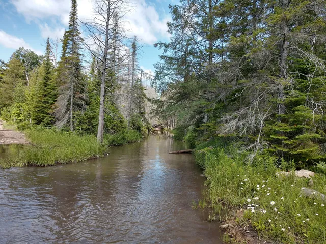 Sault Sainte Marie Ranger District