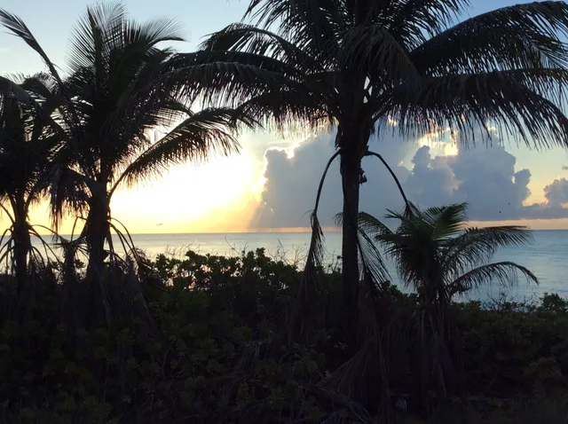 Hemispheres Oceanside Snackbar