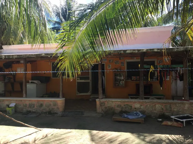 Refugio Animal Holbox