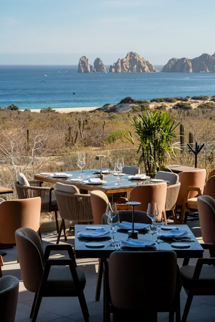 Harry's Steakhouse & Raw Bar | Cabo