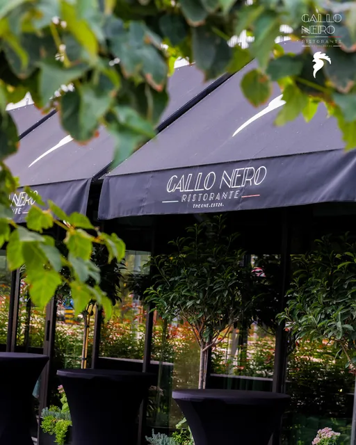 Gallo Nero The One