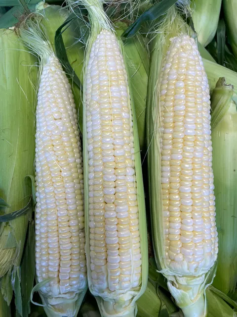 Pelloni Farm Market LLC