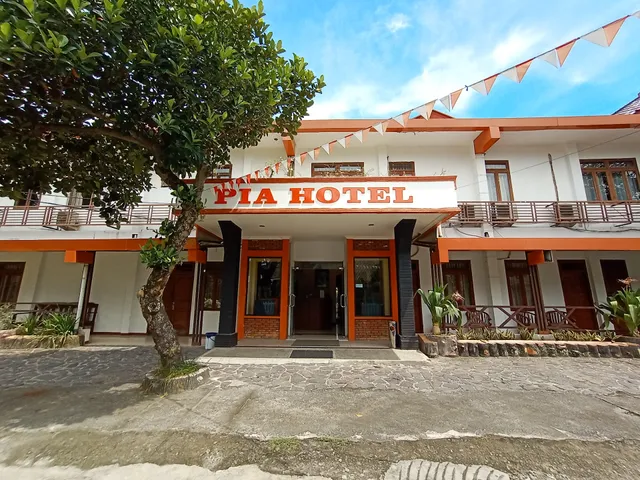Pia Hotel Medan