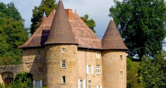 Château de Barnay