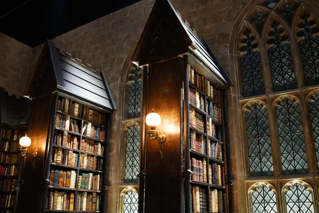 Hogwarts Library
