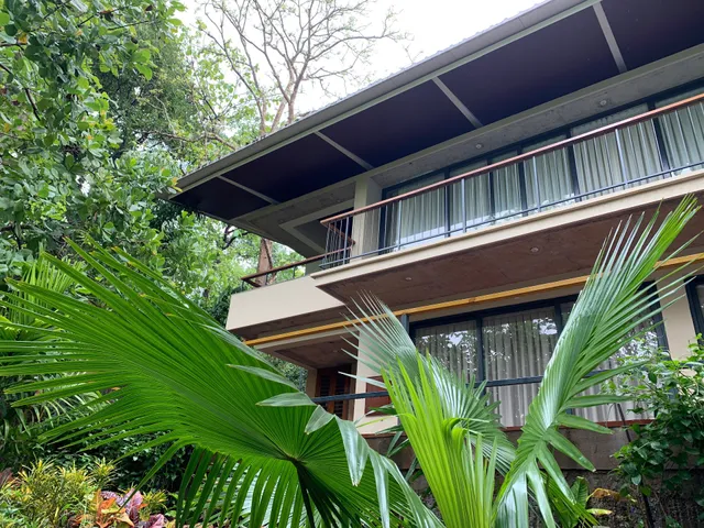 Little Paradise Cottage and Studios