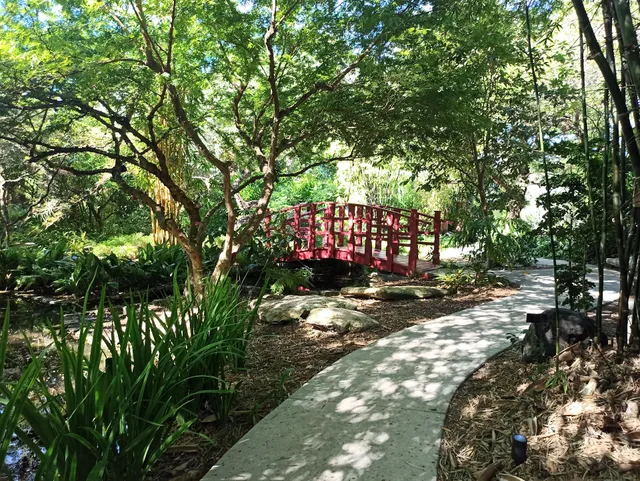 Japanese garden