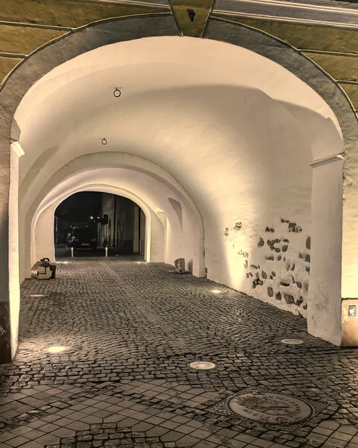 Tribune Apartment Sibiu