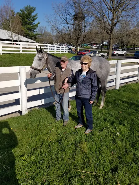 Horse and Barrel Tours