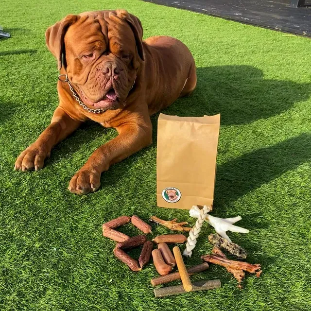 Marley & Co Pet Supplies