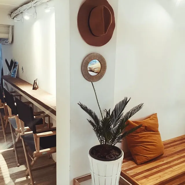 Surf Coffee x Solyanka