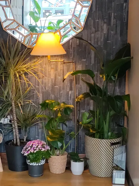 Wanpen Thai Massage Maynooth