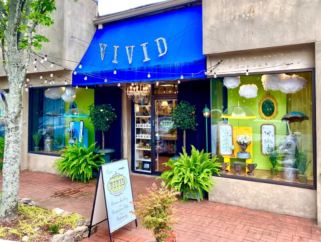 Vivid Boutique