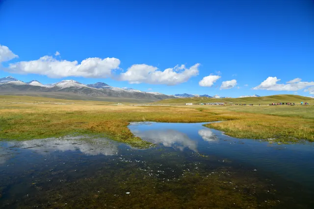 Swan Lake （North Gate）